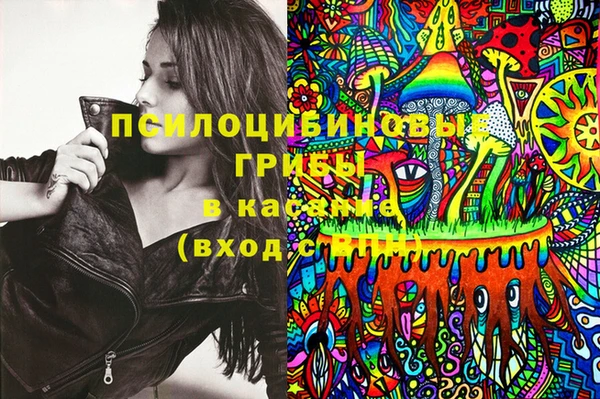 прущие грибы Алексеевка