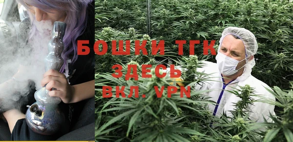 ешки Алзамай