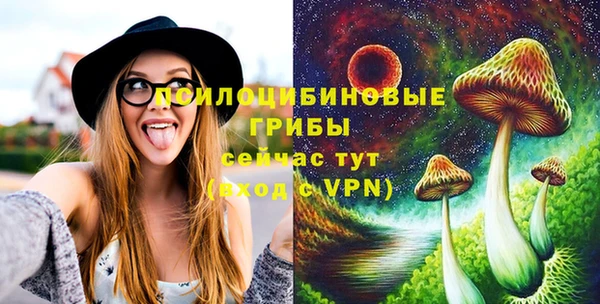 ешки Алзамай